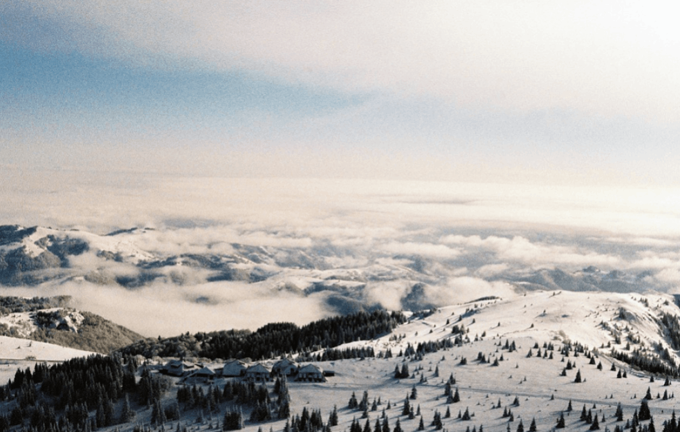 PAO PRVI SNEG: Koponik pod belim prekrivačem!